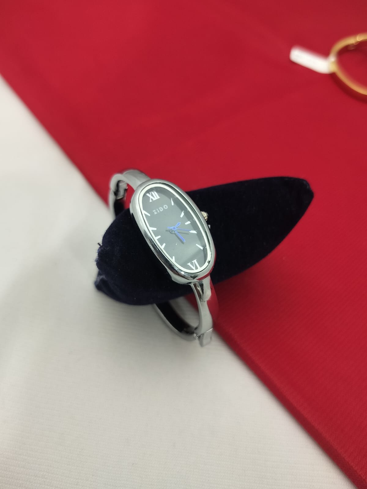 REGULAR WATCH